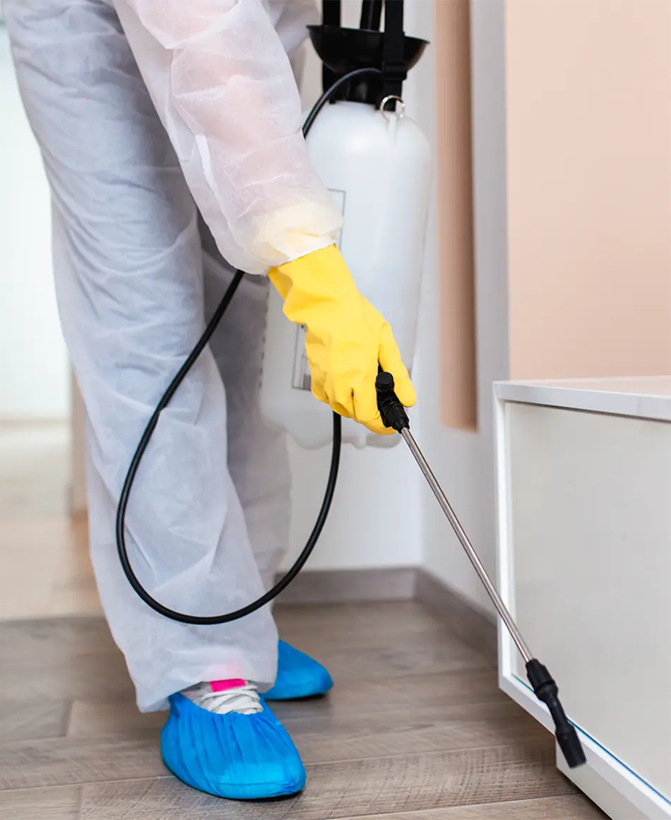 rodent-droppings-cleanup-services-1-