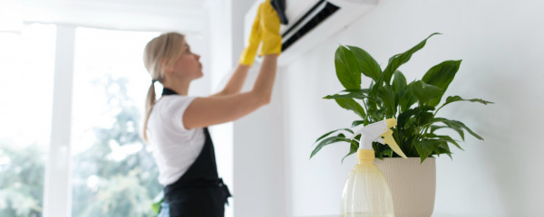 Decluttering, Organization & Home Cleaning Services in the DMV