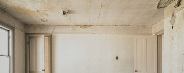 Mold Removal & Mold Remediation Services in the D.C.–Baltimore Metro Area