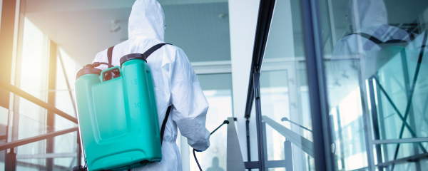 Pest, Rodent & Bed Bug Control in the D.C.–Baltimore Metro Area