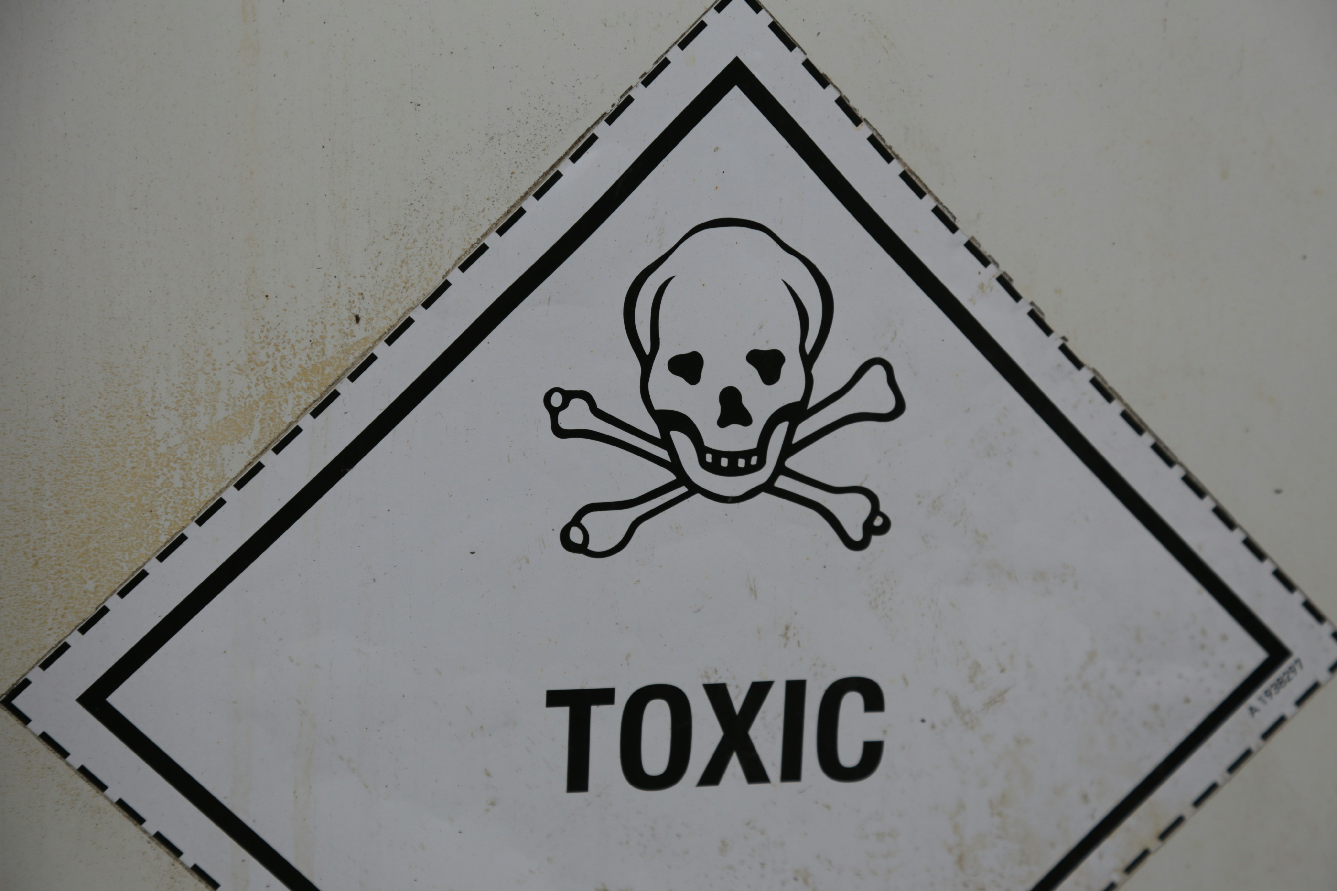 What to Do After a Biohazard Incident: A Step-by-Step Guide for Beltsville Homeowners